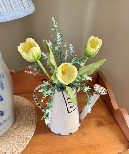 WATERING CAN PITCHER/PLANTER *NEW* AVAIL JAN 2026